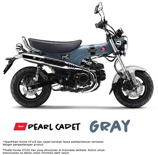 Foto HONDA ST 125 DAX